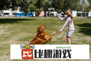 内部文件曝光：美贸易代表被排除在关税决策圈外