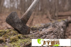 杨幂内娱史官身份曝光！盘点她如何改写娱乐圈规则
