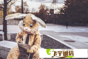竹与花的消费对决：谁更懂生活品质？