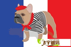 植物大战僵尸魔幻版图鉴下载：高清完整版免费获取