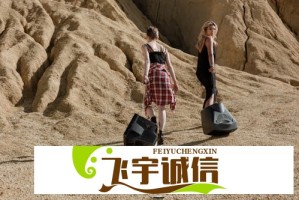 papi酱梦女文化席卷网络：是时候重新定义追星行为了