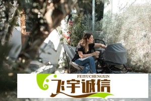 专家解读：巴基斯坦称印度即将入侵，是确有其事还是战略博弈？