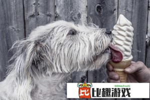 肖飞董袭莹同框出席活动，现场互动频繁引热议