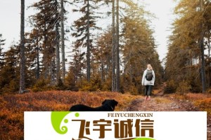 盘尼西林键盘手与其他乐队键盘手的风格对比