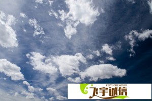 如何根据国产尺码和欧洲尺码表正确选择合适的服装尺码？