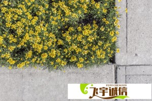 藏海传里的隐藏细节，%的观众都没发现
