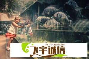 美国长期掉期利差以历史罕见速度收窄