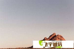 从女销售员到商业传奇：满天星的逆袭之路
