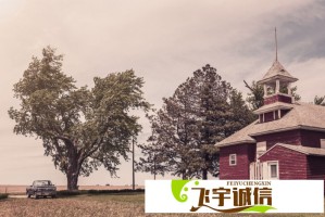个坐在紫色尖尖上背单词的注意事项，%的人都做错了
