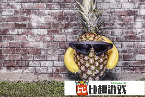 粉色ABB软件安装失败怎么办？常见问题解决方法汇总