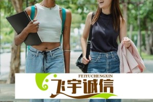 c.起草：详解该条款背后的法律意义与实施影响