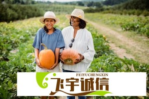 差差漫画在入口页面弹窗，为什么这么吸引人？