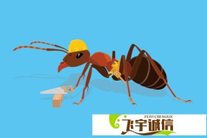 儿子出国儿媳妇在家，如何避免婆媳关系恶化？