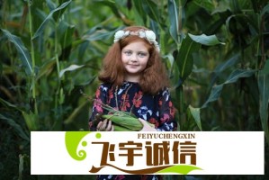 融合传统文化与现代心理学，上海交大中国文化心理学研究院成立