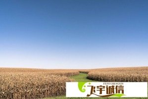 湘潭大学宿舍投毒案一审宣判：法律如何严惩校园暴力犯罪？