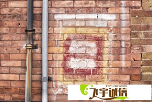 如何应对儿子出国后儿媳妇在家独处的局面？:有效支持与沟通的方式有哪些？