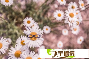 一面膜胸一边面膜下部位使用心得分享，效果惊艳到爆！