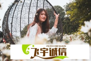 紧急求助！主人我错了能不能关掉开关？智能设备故障处理指南