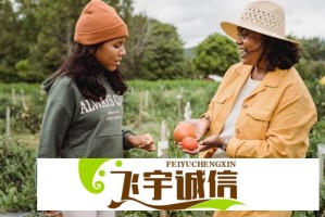 不跪经济学的秘密：为什么富人从不低头求人？