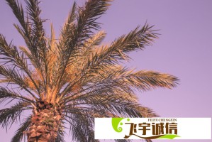 徐明浩等了很久是吧 网友热议：他的坚持值得敬佩
