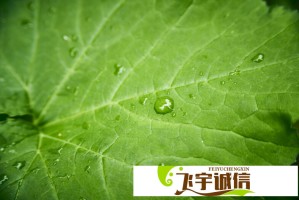 差差漫画入口页面免费弹窗下拉，最新漫画资源一网打尽！