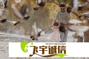 国家补贴哪里领？京东官方合作平台快速到账攻略