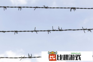 会夹会摇是什么动作？网红舞蹈动作解析