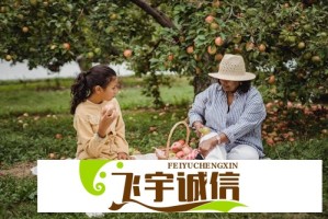 罗永浩回应余承东：人人买得起手机是否意味着低价低质？