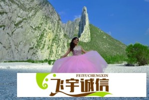 捷豹路虎暂停美国市场出口，消费者反应强烈