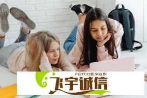 成品网站免费破ppt网站是真的吗？最新破解方法大揭秘