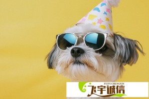 精品二线三线品牌如何赢得消费者的信任与忠诚？