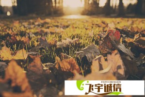 孝敏婚纱照细节放大，钻戒婚纱价值不菲