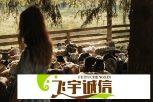 震惊！黄英体重竟不足斤，粉丝直呼心疼