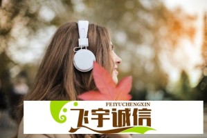 免费行情网站入口免下载，轻松查看实时数据，助你快速掌握市场动态