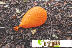 JMCOMIC传送门是否合法？版权问题深度解析