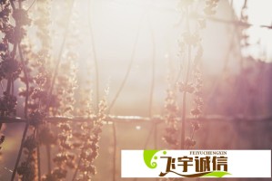 小米首款SUV车型登顶热搜，雷军发文解释提早公示原因