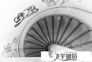 麻豆是什么梗？原来这个网络用语这么火