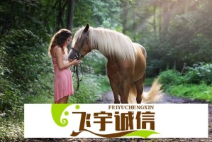探寻老扒干红法蓉陈红最经典的十首歌曲，绝对值得收藏和回味