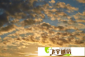 震惊！电竞选手洗澡不注意安全竟会导致如此严重后果