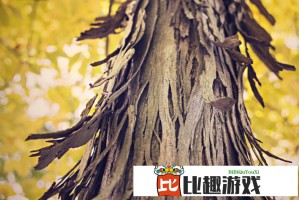月起Xbox能够直接在移动设备上购买游戏