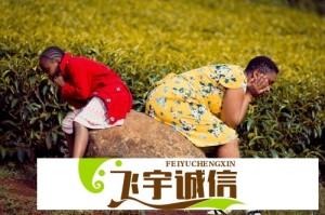 十年投资经验浓缩：大咖亲授哲学思维训练法