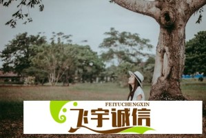 王者荣耀排位赛机制优化，elo匹配系统真的变公平了吗？