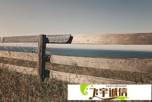 定向增发购车指标和普通指标有什么区别？专家深度解析