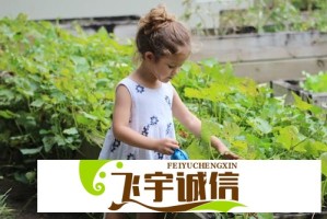 星巴克为何选择五月天作为品牌代言人？深度解析合作内幕