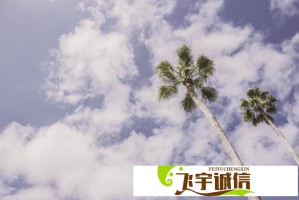 王者荣耀崩了！服务器崩溃原因大揭秘，官方紧急修复中