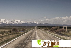 茅台酒市场价格稳定，“酒业顶流”的底气在这里！