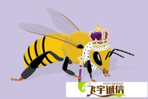 郑晓龙公开表示将与肖战二搭合作，新剧筹备中引期待