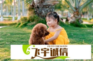 减肥破戒吃了炸鸡怎么办？这份补救指南请收好