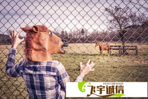 苏苏影视官网入口-苏苏影视免费在线观看