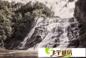 美国前财长萨默斯：当霸凌者退缩，看到美国（这样），真是可悲
